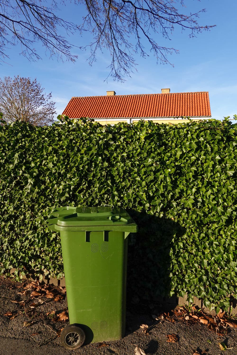Green trash bin beside a lush hedge and a house under a clear blue sky.