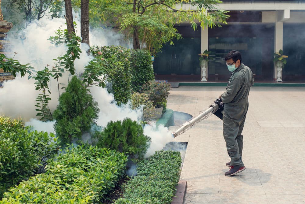 MOSQUITO & OUTDOOR PEST ELIMINATION